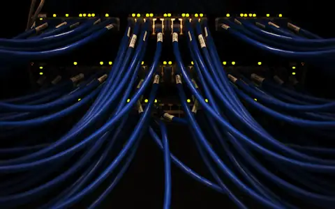 Close-up of blue network cables plugged in, the infrastructure behind blockchain payments