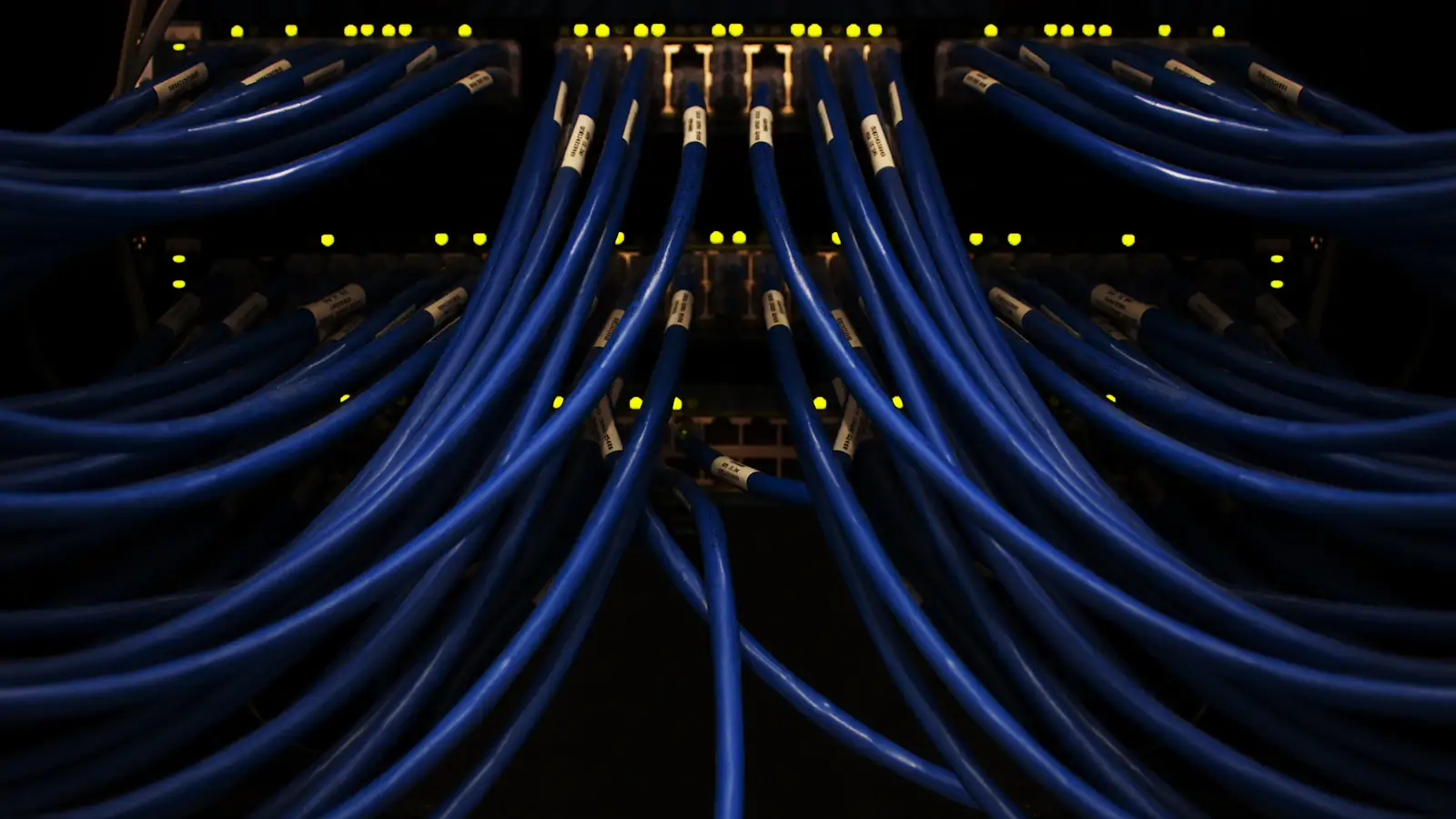 Close-up of blue network cables plugged in, the infrastructure behind blockchain payments
