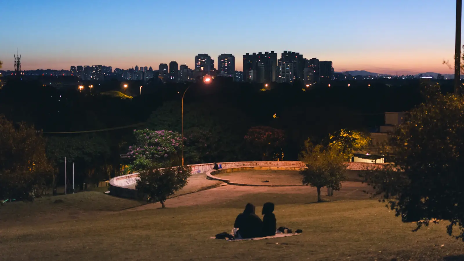 People relaxing on the grass at dusk overlooking the São Paulo skyline, Brazil