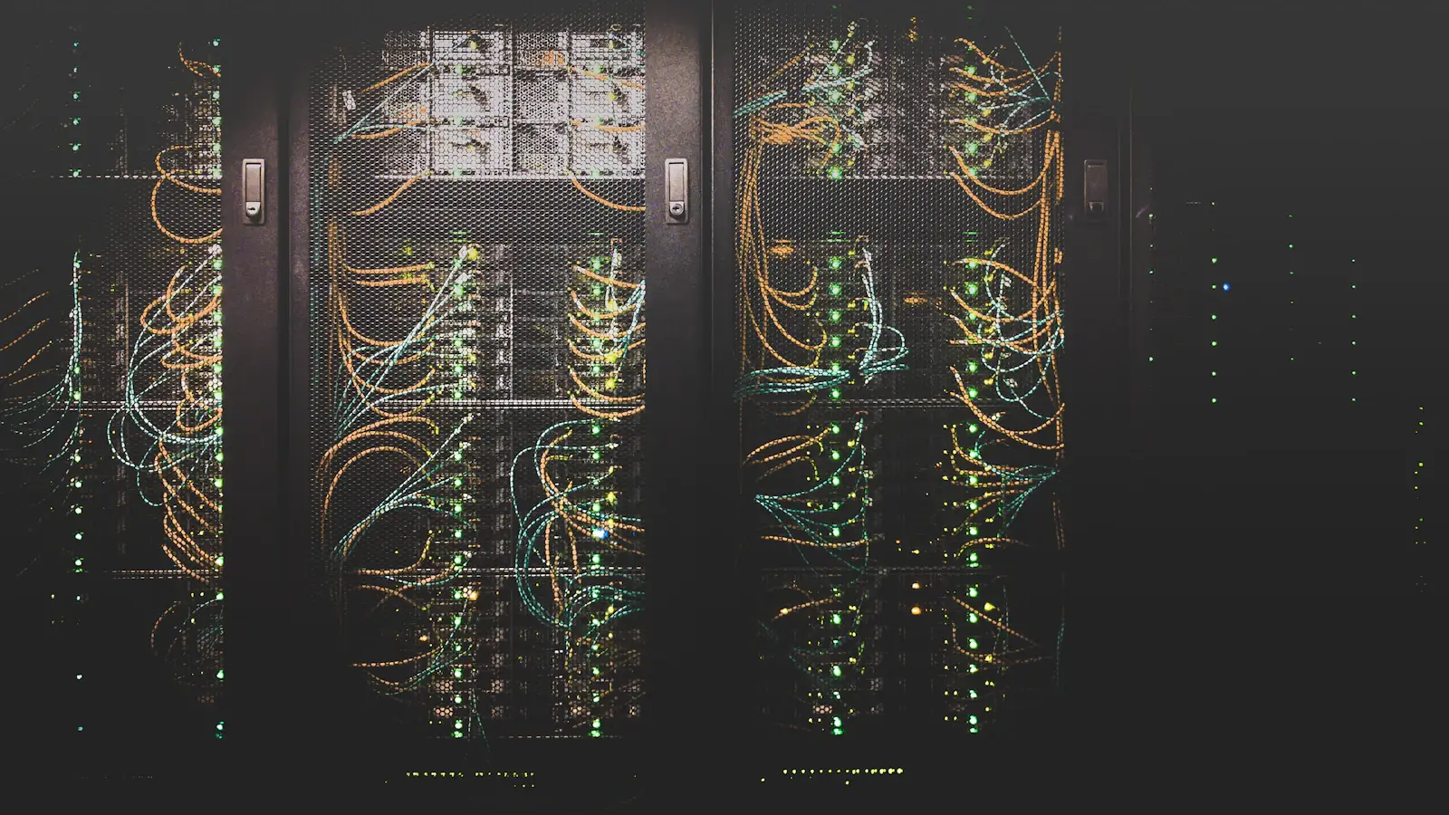 Network cables plugged into a data centre switch, the infrastructure behind CBDC technology providers