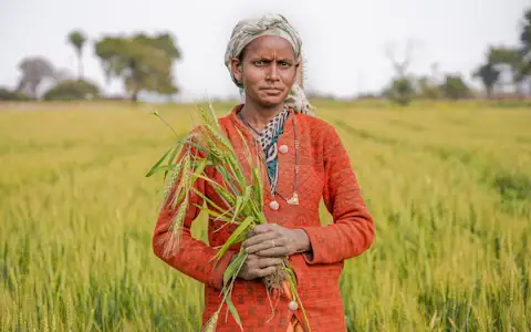Woman farmer holding a green plant in rural India, a typical Direct Benefit Transfer recipient
