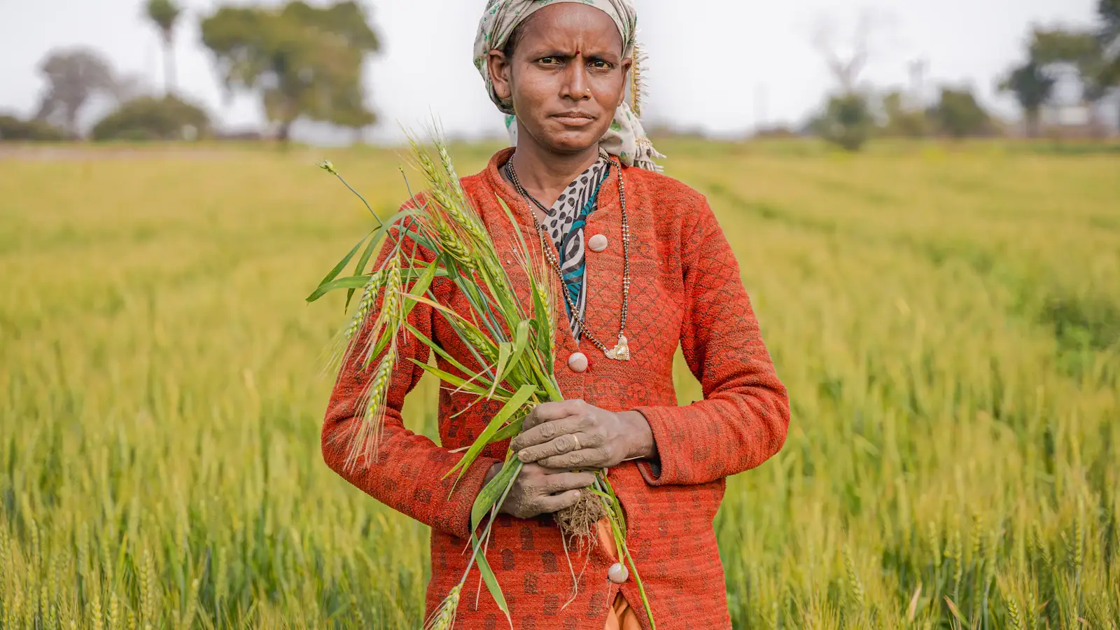 Woman farmer holding a green plant in rural India, a typical Direct Benefit Transfer recipient