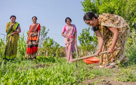 Women farmers standing together in a field in rural India, the focus of financial inclusion