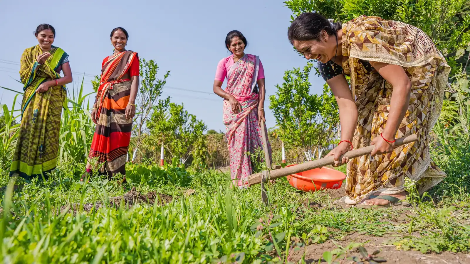 Women farmers standing together in a field in rural India, the focus of financial inclusion