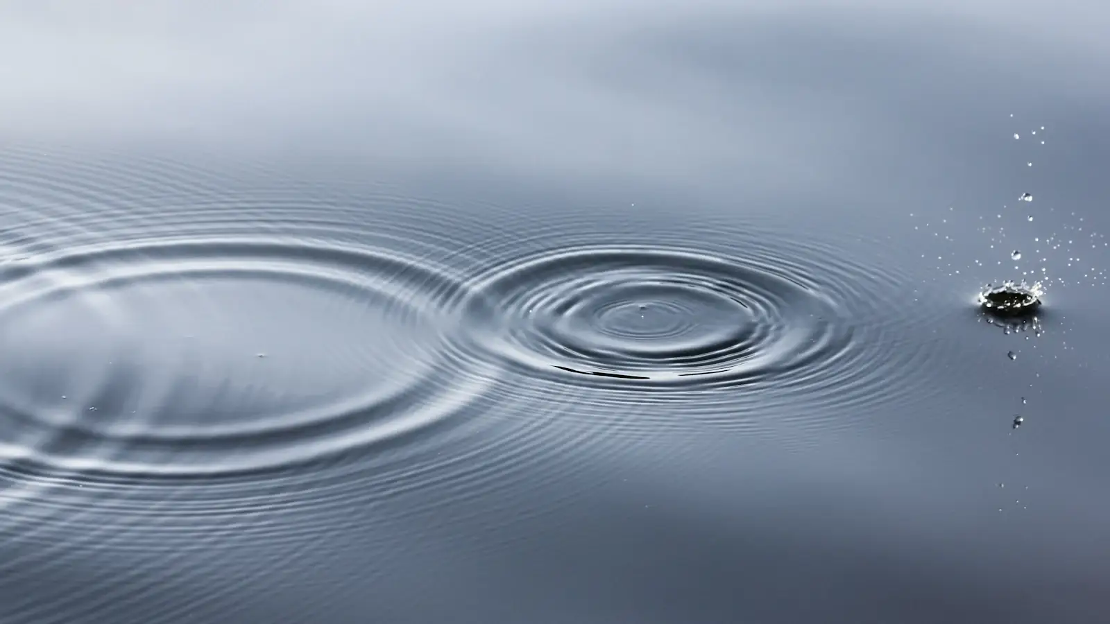 Water droplet sending ripples across a calm sea surface