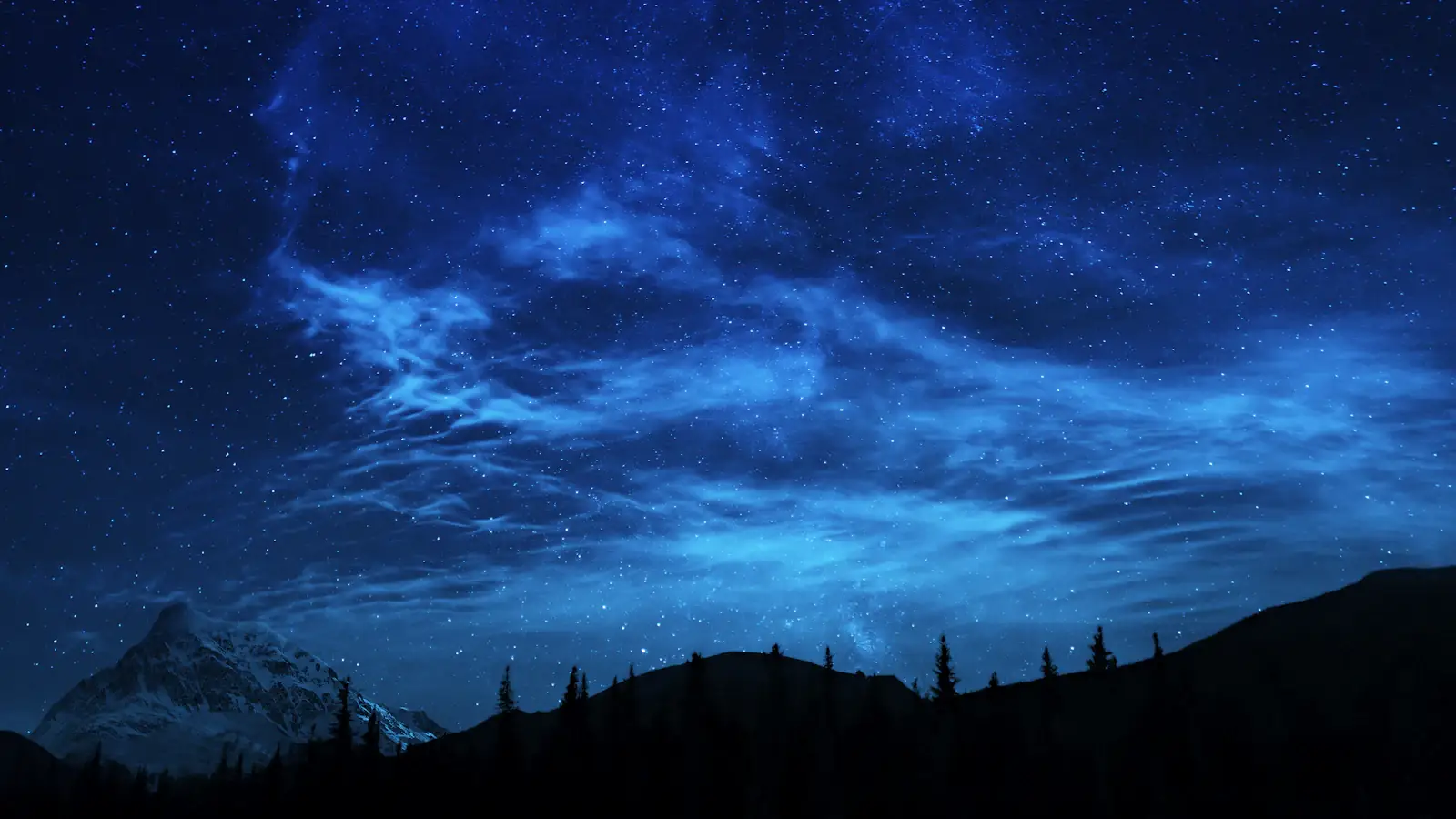 Night sky full of stars above a silhouetted line of trees