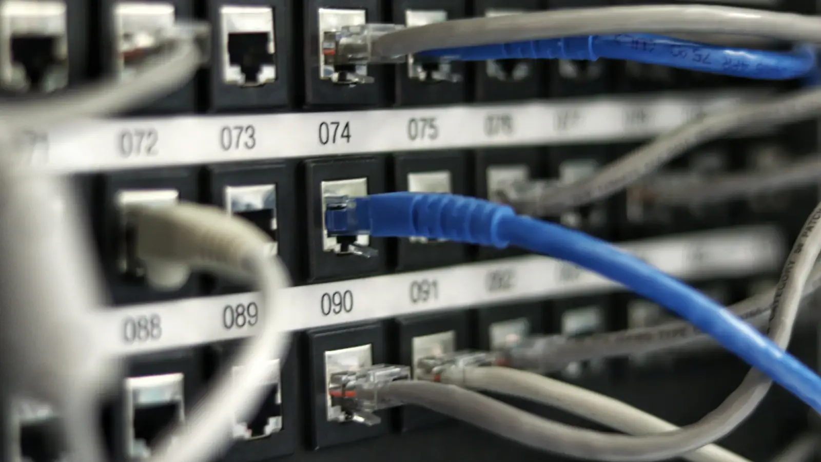 Blue network cables connected in a server rack, the messaging infrastructure behind SWIFT payments